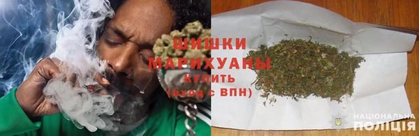 прущие грибы Болотное