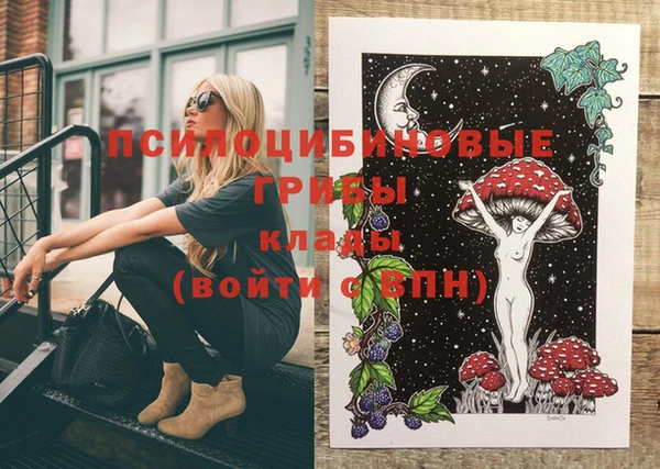 mdpv Болхов