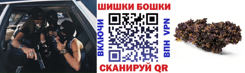 Канабис сатива  Пыталово 